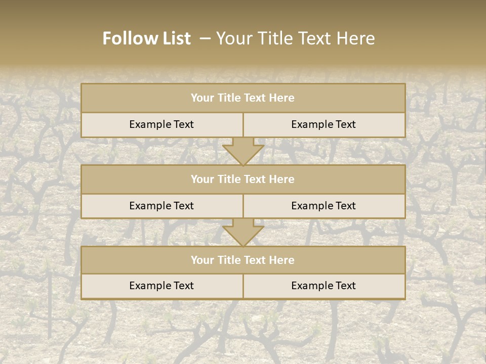 A Large Field Of Trees With No Leaves PowerPoint Template