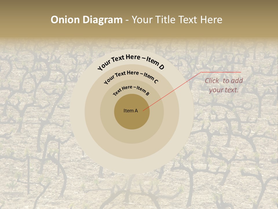 A Large Field Of Trees With No Leaves PowerPoint Template