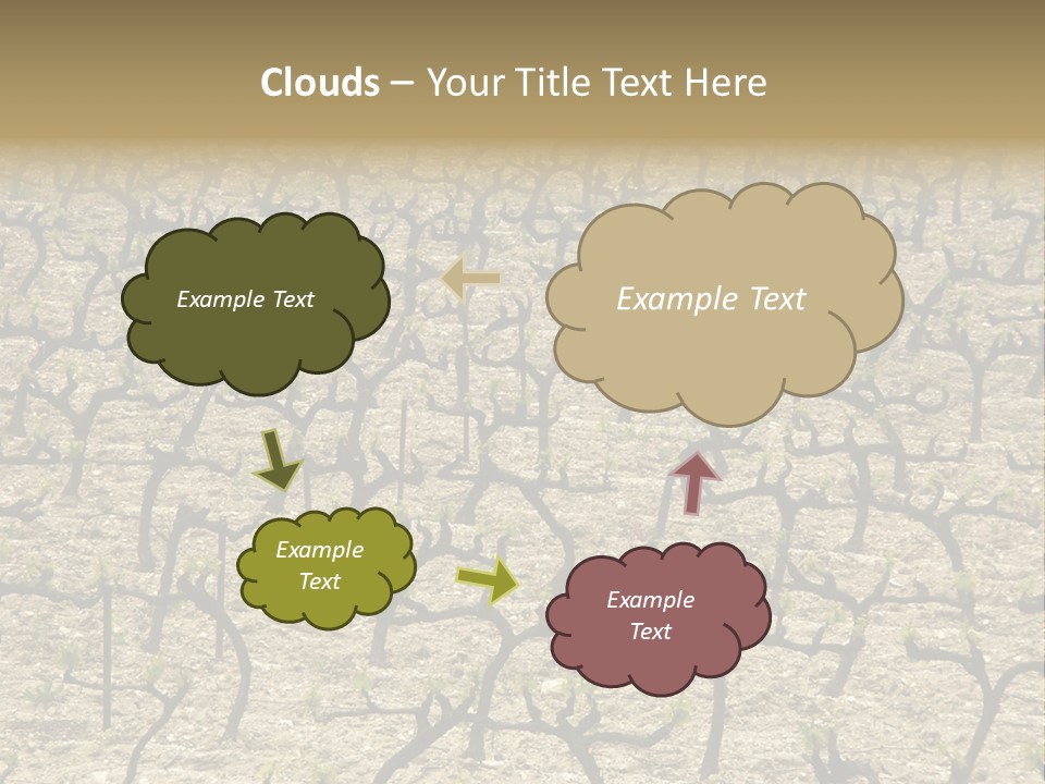 A Large Field Of Trees With No Leaves PowerPoint Template