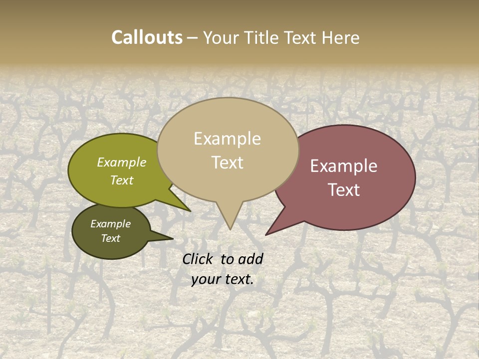 A Large Field Of Trees With No Leaves PowerPoint Template