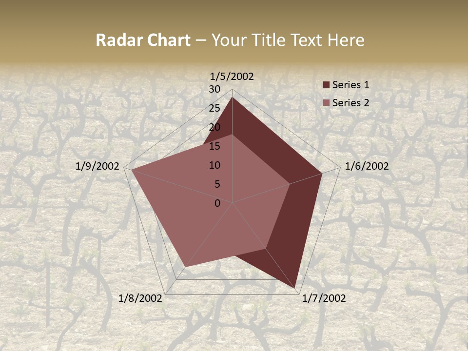 A Large Field Of Trees With No Leaves PowerPoint Template