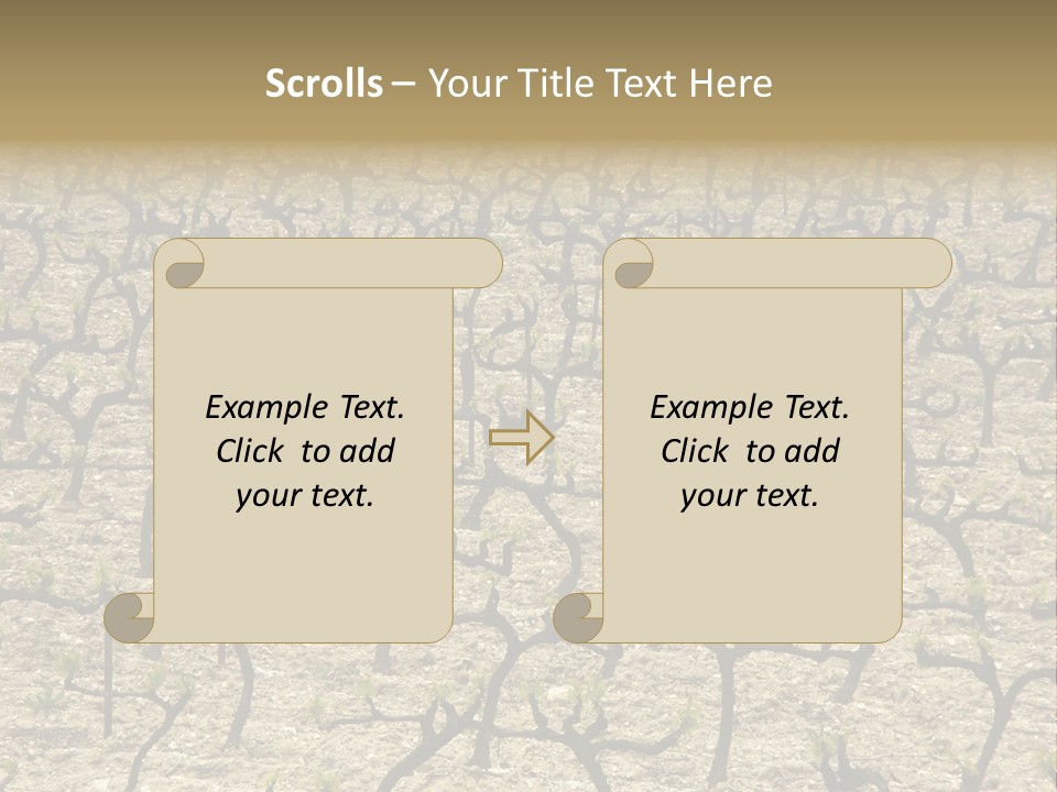 A Large Field Of Trees With No Leaves PowerPoint Template