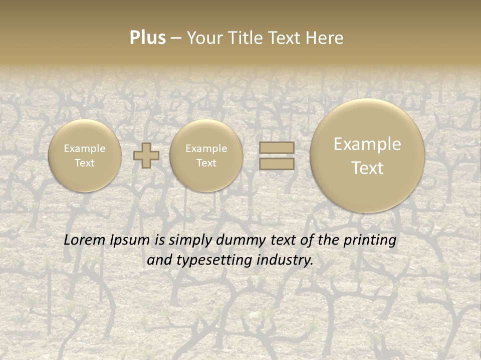 A Large Field Of Trees With No Leaves PowerPoint Template