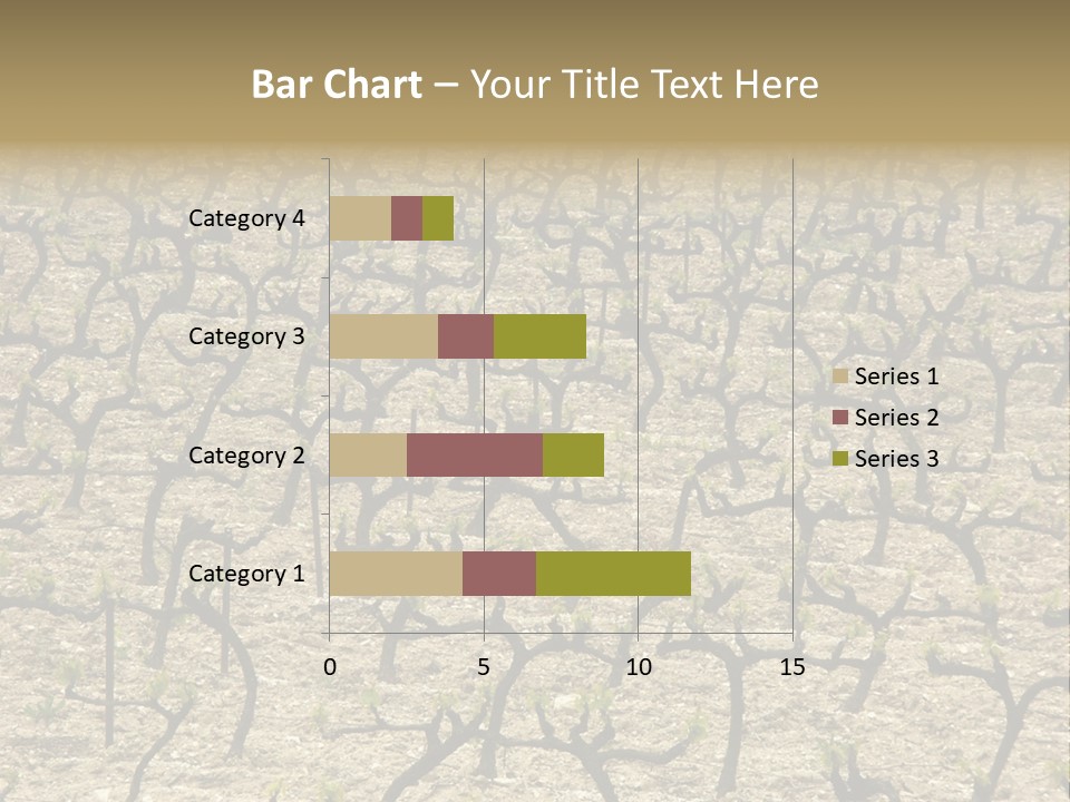 A Large Field Of Trees With No Leaves PowerPoint Template