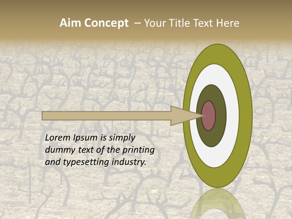 A Large Field Of Trees With No Leaves PowerPoint Template