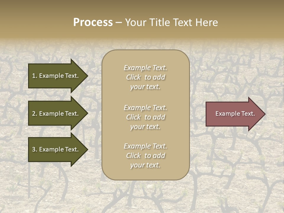 A Large Field Of Trees With No Leaves PowerPoint Template