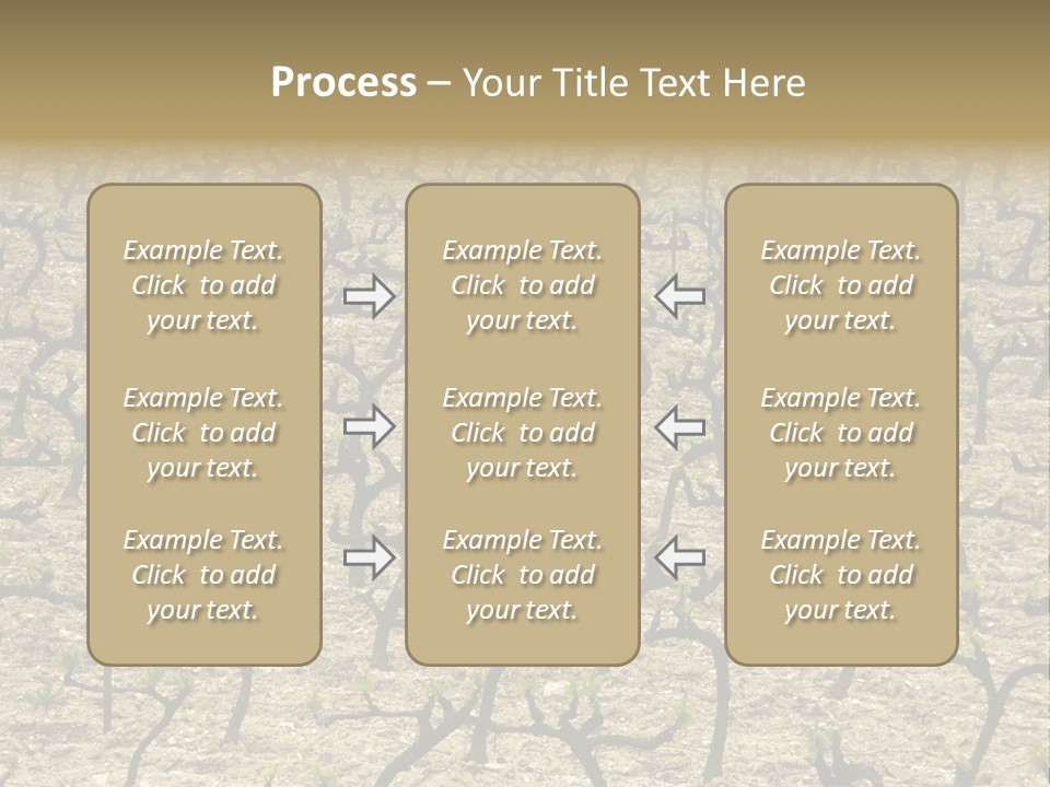 A Large Field Of Trees With No Leaves PowerPoint Template