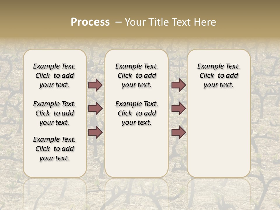 A Large Field Of Trees With No Leaves PowerPoint Template