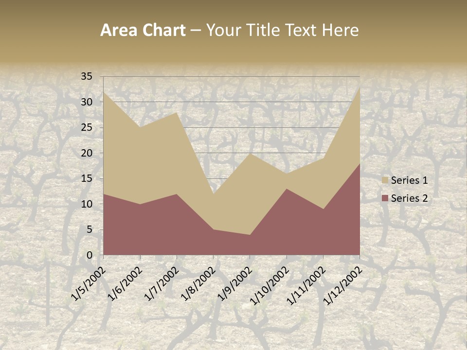 A Large Field Of Trees With No Leaves PowerPoint Template
