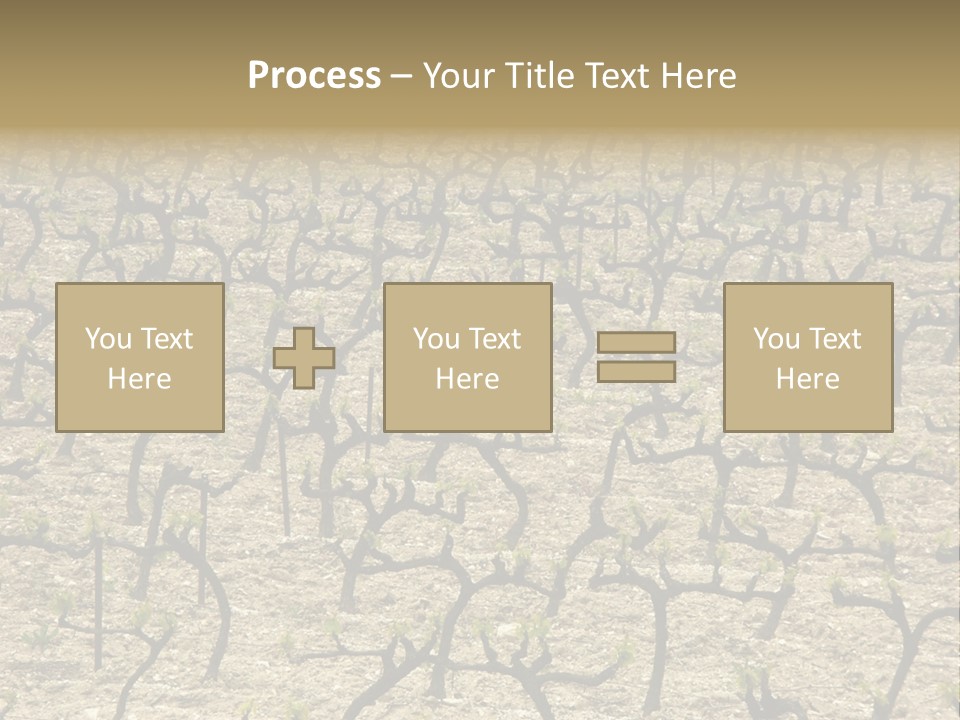 A Large Field Of Trees With No Leaves PowerPoint Template