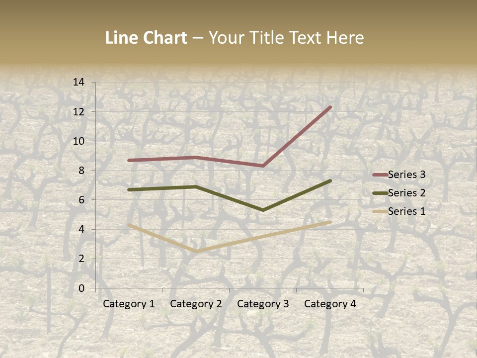 A Large Field Of Trees With No Leaves PowerPoint Template