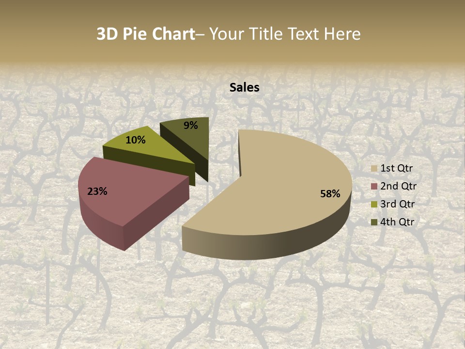A Large Field Of Trees With No Leaves PowerPoint Template