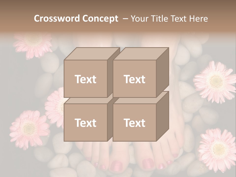 Female Feet In A Relaxing Aromatic Foot Bath With Massaging White Stone Pebble Bed And Floating Pink Flowerheads. Feet Are Invigorated, Skin Is Supple And Refreshed. Pure Indulgence For Your Feet. PowerPoint Template