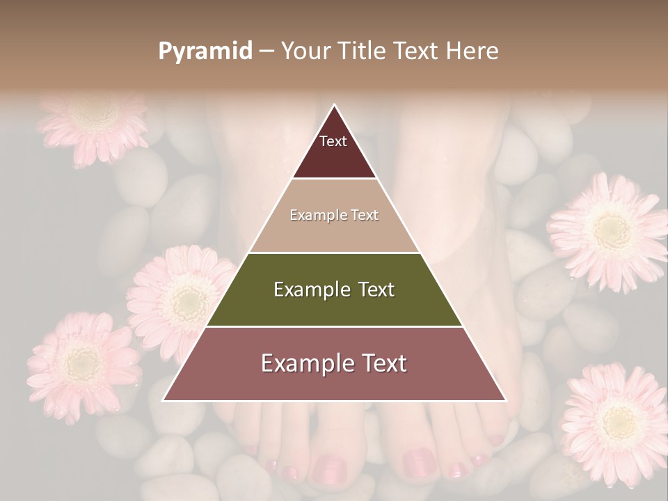 Female Feet In A Relaxing Aromatic Foot Bath With Massaging White Stone Pebble Bed And Floating Pink Flowerheads. Feet Are Invigorated, Skin Is Supple And Refreshed. Pure Indulgence For Your Feet. PowerPoint Template