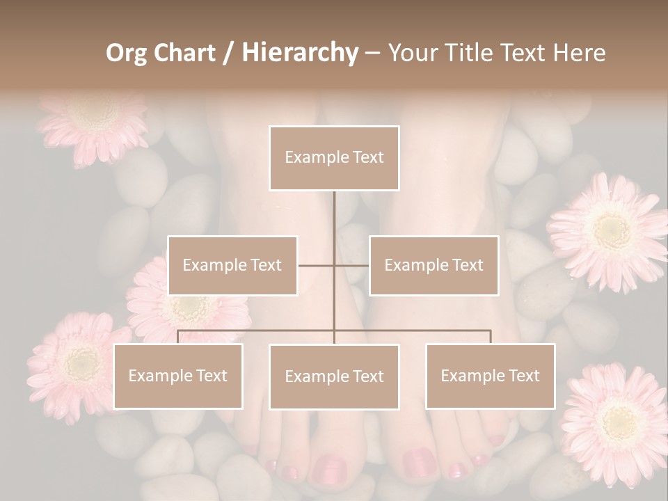 Female Feet In A Relaxing Aromatic Foot Bath With Massaging White Stone Pebble Bed And Floating Pink Flowerheads. Feet Are Invigorated, Skin Is Supple And Refreshed. Pure Indulgence For Your Feet. PowerPoint Template