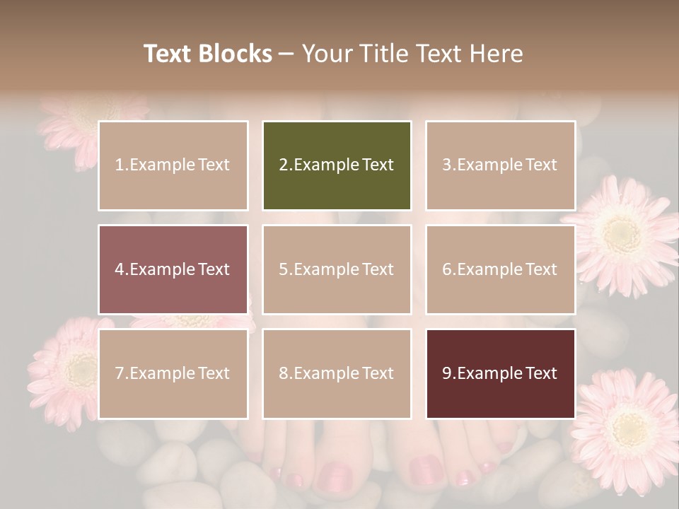Female Feet In A Relaxing Aromatic Foot Bath With Massaging White Stone Pebble Bed And Floating Pink Flowerheads. Feet Are Invigorated, Skin Is Supple And Refreshed. Pure Indulgence For Your Feet. PowerPoint Template