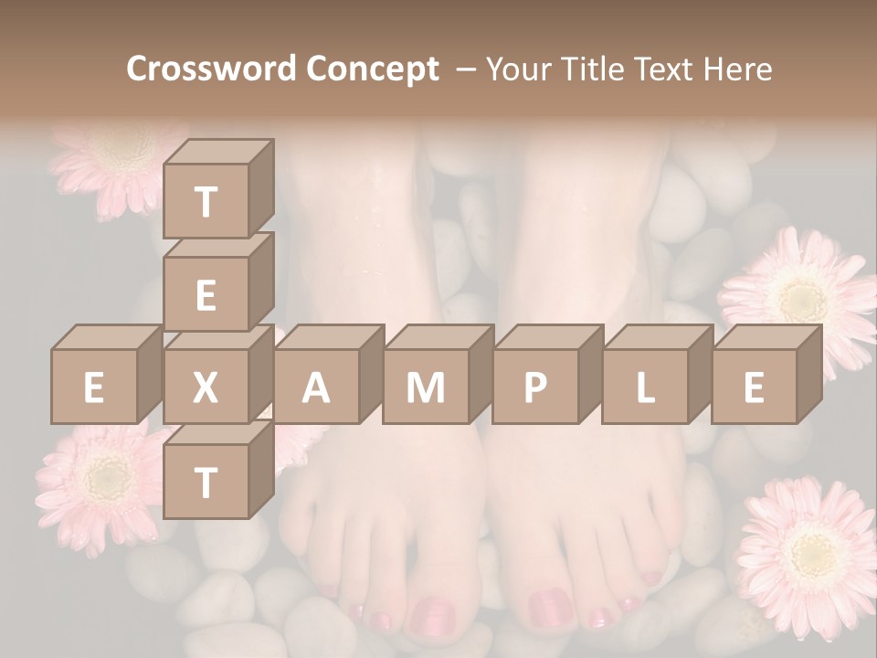 Female Feet In A Relaxing Aromatic Foot Bath With Massaging White Stone Pebble Bed And Floating Pink Flowerheads. Feet Are Invigorated, Skin Is Supple And Refreshed. Pure Indulgence For Your Feet. PowerPoint Template