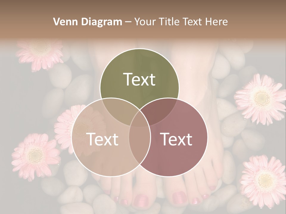 Female Feet In A Relaxing Aromatic Foot Bath With Massaging White Stone Pebble Bed And Floating Pink Flowerheads. Feet Are Invigorated, Skin Is Supple And Refreshed. Pure Indulgence For Your Feet. PowerPoint Template