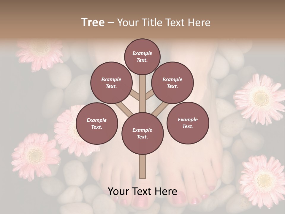 Female Feet In A Relaxing Aromatic Foot Bath With Massaging White Stone Pebble Bed And Floating Pink Flowerheads. Feet Are Invigorated, Skin Is Supple And Refreshed. Pure Indulgence For Your Feet. PowerPoint Template