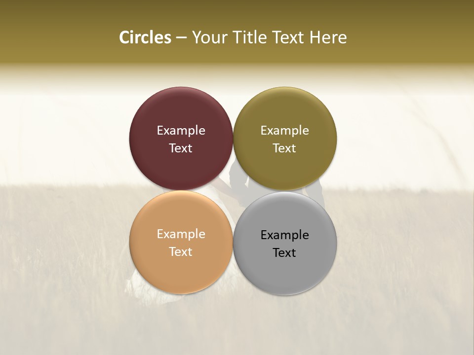 A Newly Wed Couple Walking Through A Grassland, Holding Hands PowerPoint Template