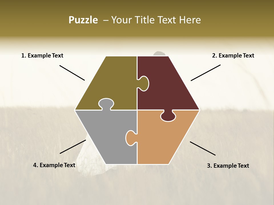 A Newly Wed Couple Walking Through A Grassland, Holding Hands PowerPoint Template