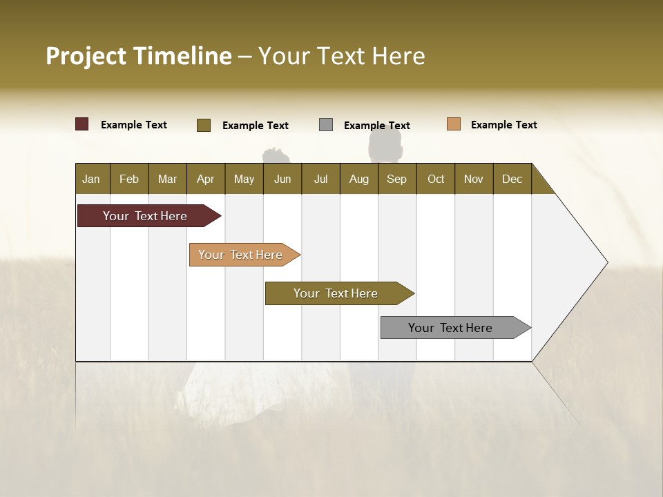 A Newly Wed Couple Walking Through A Grassland, Holding Hands PowerPoint Template