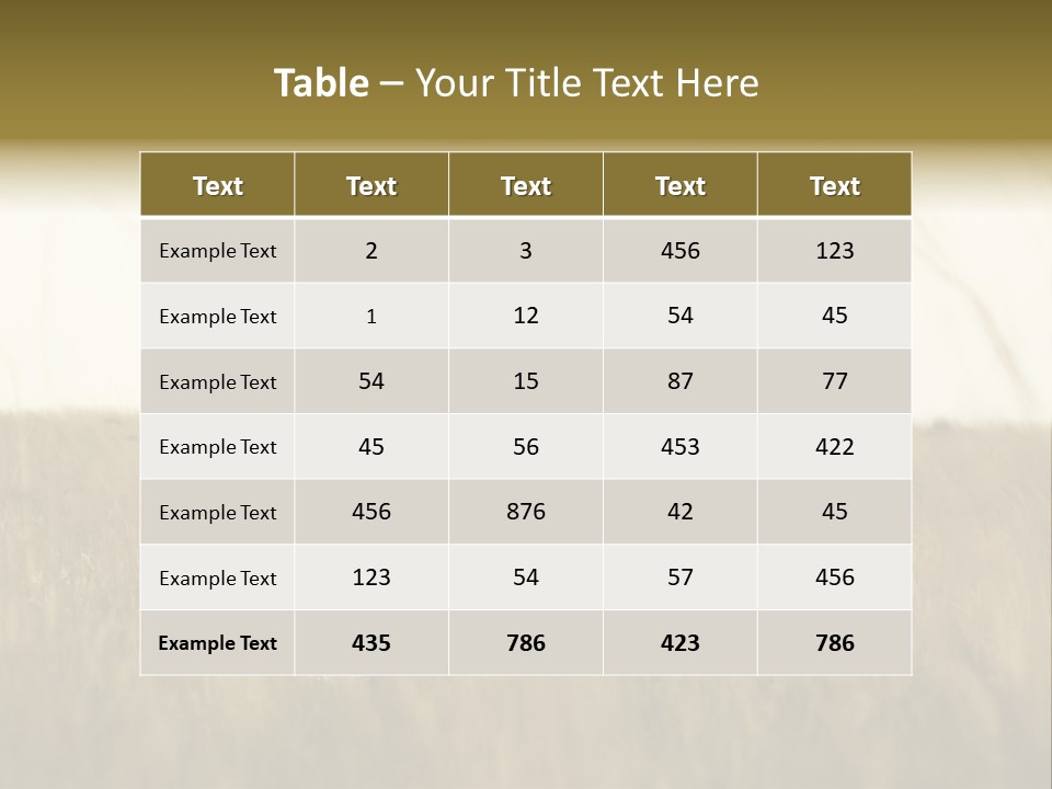 A Newly Wed Couple Walking Through A Grassland, Holding Hands PowerPoint Template