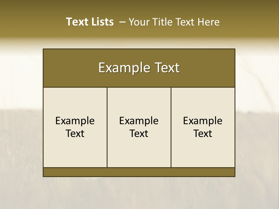 A Newly Wed Couple Walking Through A Grassland, Holding Hands PowerPoint Template