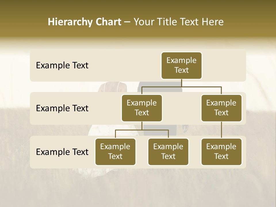 A Newly Wed Couple Walking Through A Grassland, Holding Hands PowerPoint Template