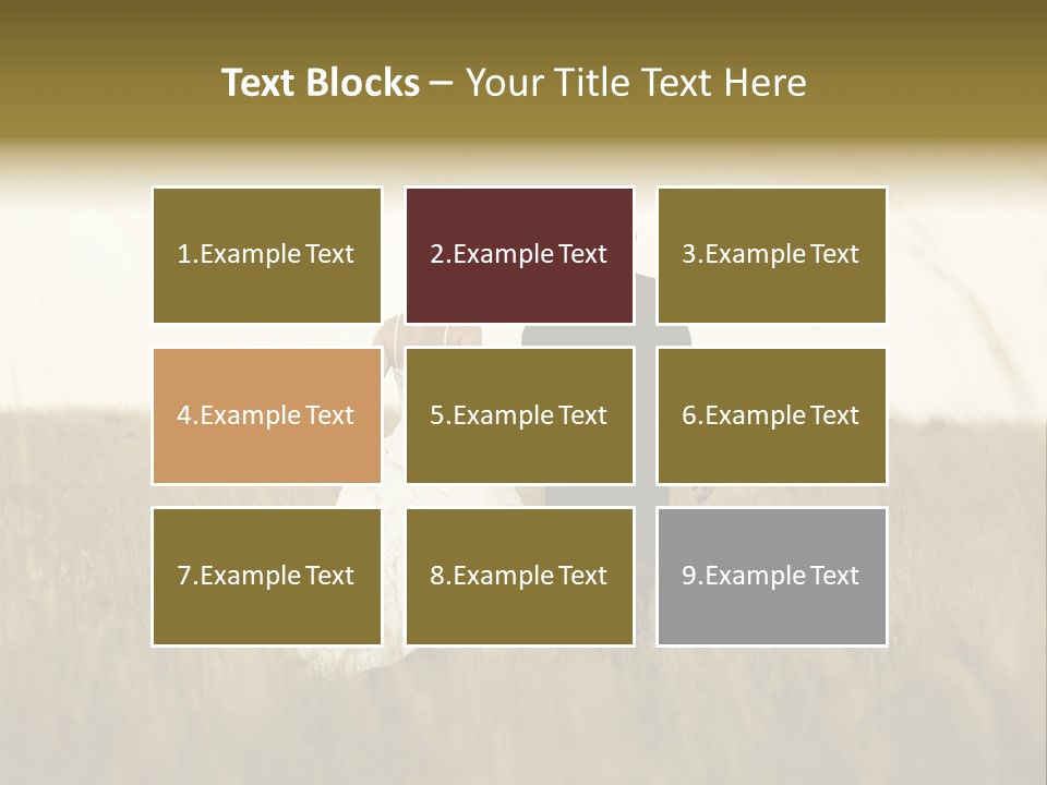 A Newly Wed Couple Walking Through A Grassland, Holding Hands PowerPoint Template