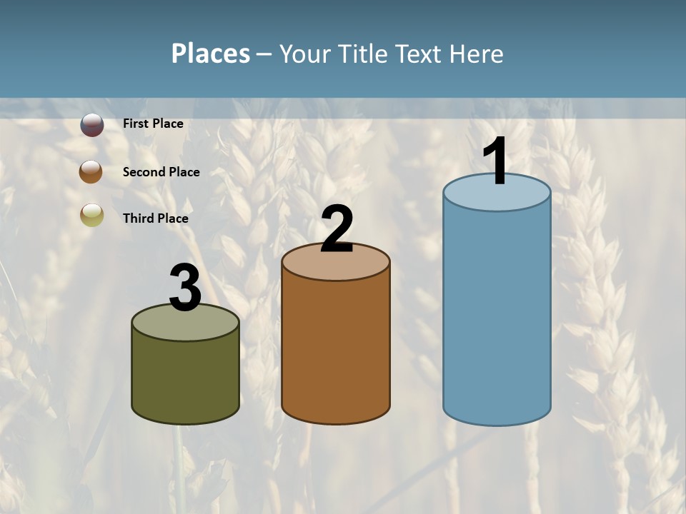 A Field Of Wheat Powerpoint Template PowerPoint Template