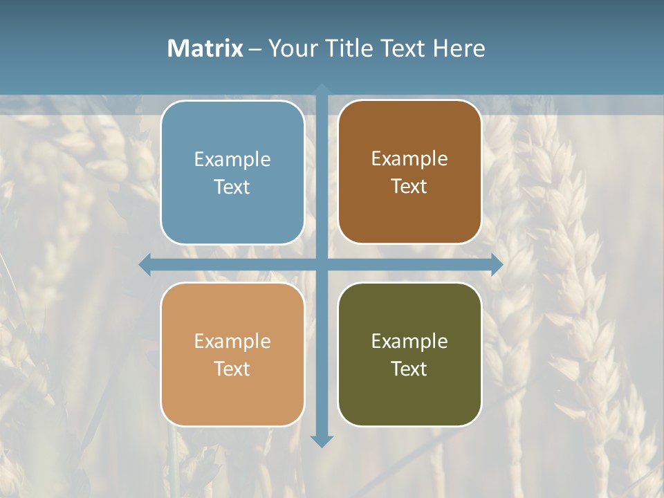 A Field Of Wheat Powerpoint Template PowerPoint Template