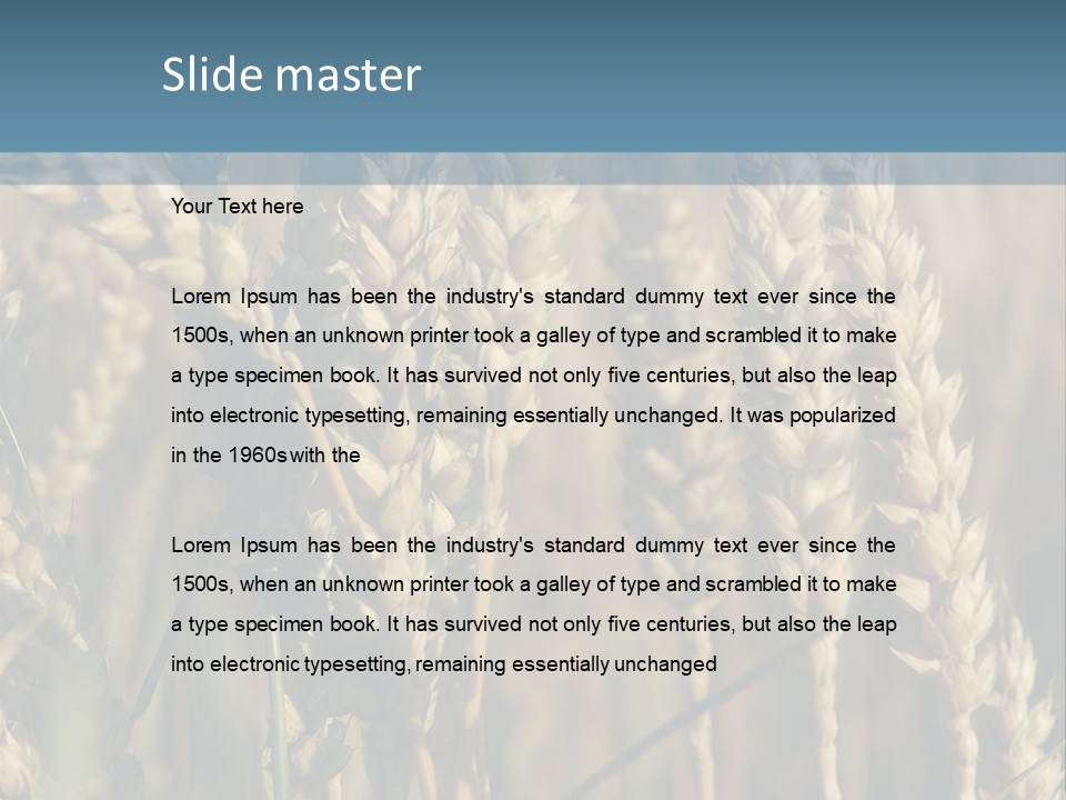 A Field Of Wheat Powerpoint Template PowerPoint Template