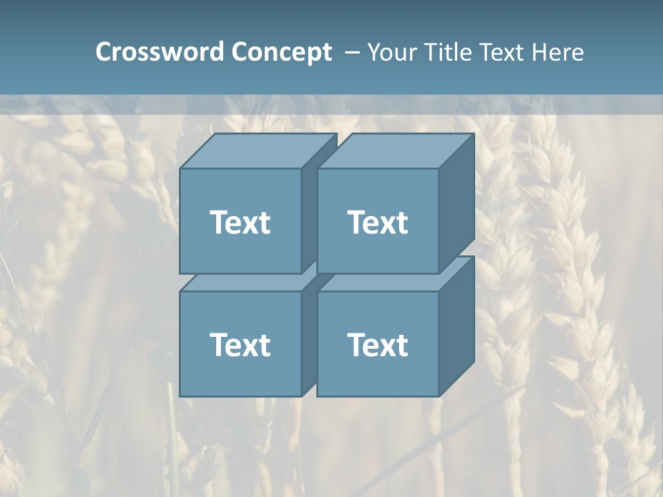 A Field Of Wheat Powerpoint Template PowerPoint Template