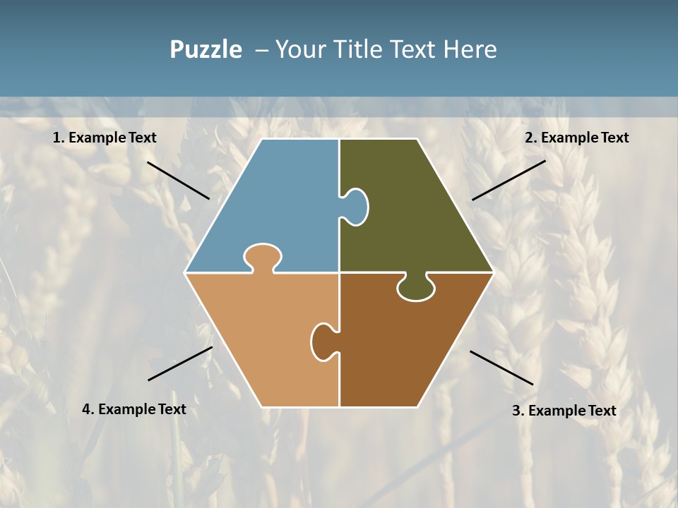 A Field Of Wheat Powerpoint Template PowerPoint Template