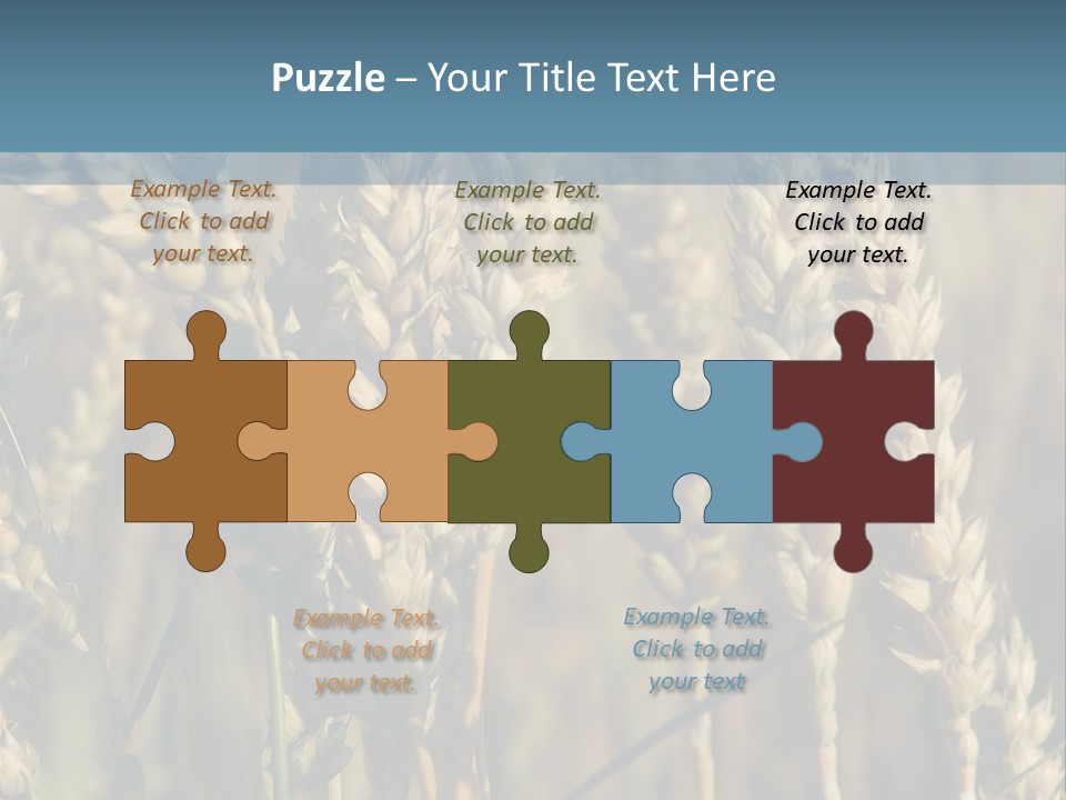 A Field Of Wheat Powerpoint Template PowerPoint Template