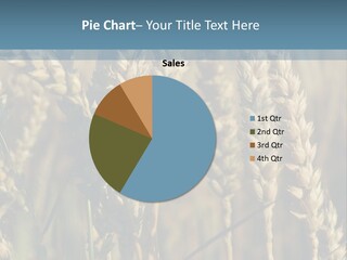 A Field Of Wheat Powerpoint Template PowerPoint Template