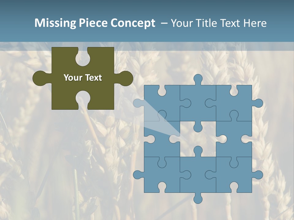 A Field Of Wheat Powerpoint Template PowerPoint Template