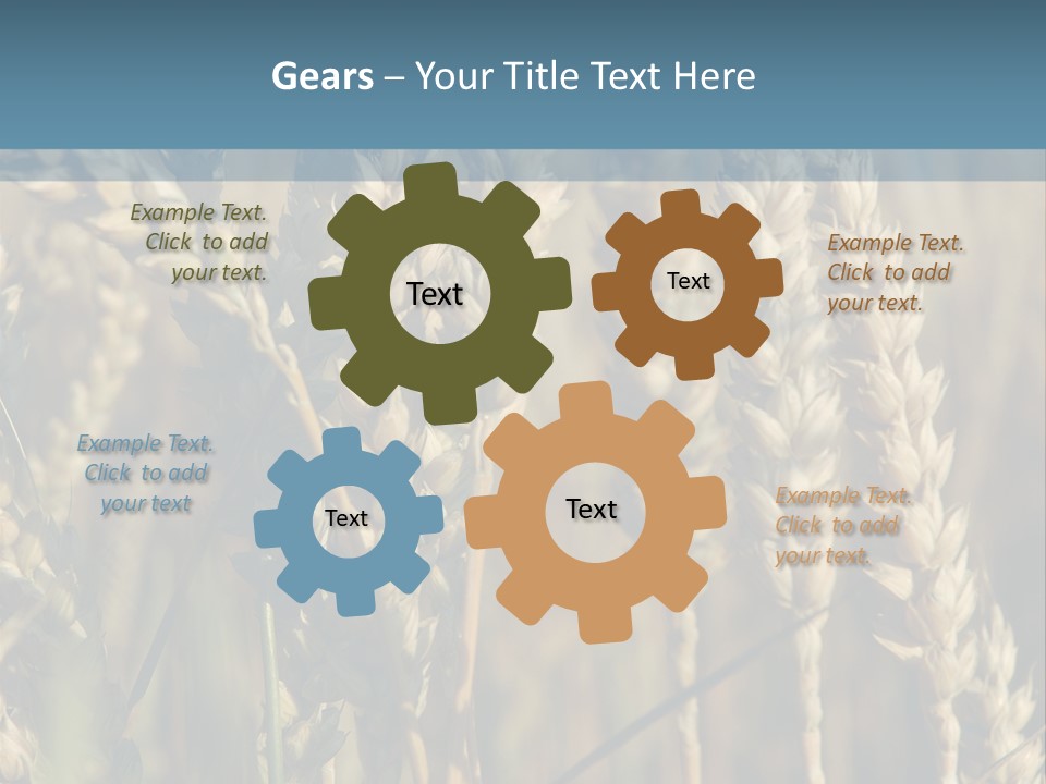 A Field Of Wheat Powerpoint Template PowerPoint Template
