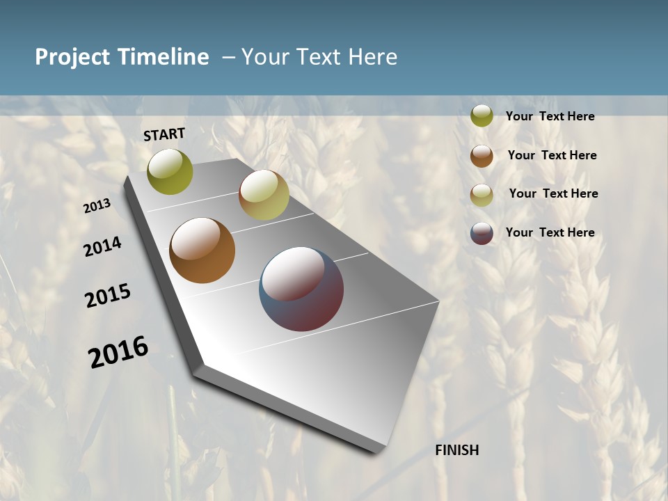 A Field Of Wheat Powerpoint Template PowerPoint Template