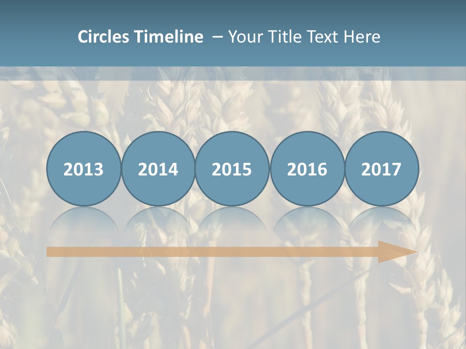 A Field Of Wheat Powerpoint Template PowerPoint Template
