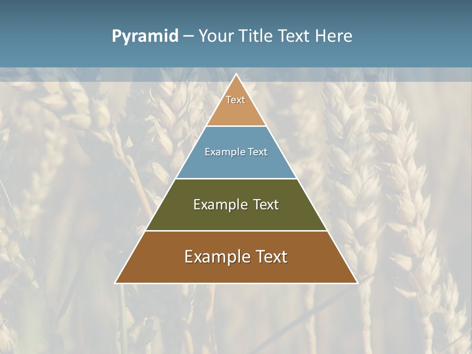 A Field Of Wheat Powerpoint Template PowerPoint Template