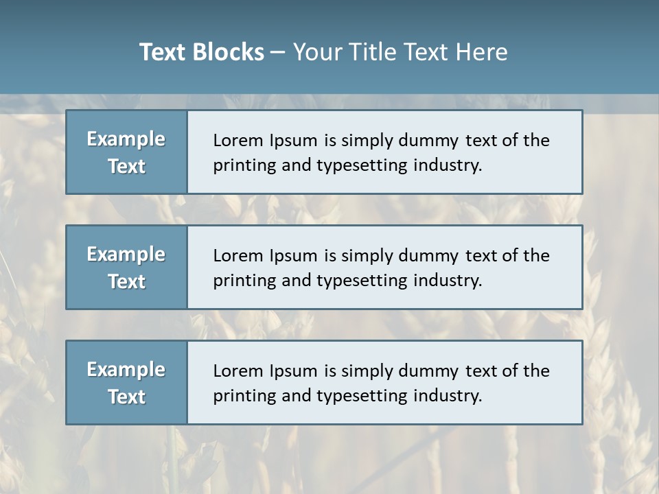 A Field Of Wheat Powerpoint Template PowerPoint Template