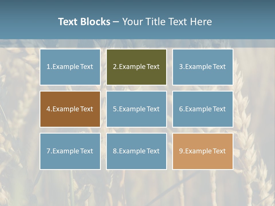 A Field Of Wheat Powerpoint Template PowerPoint Template