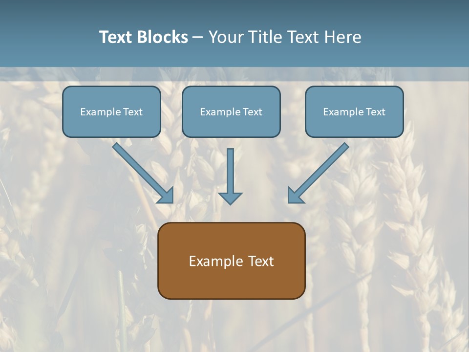 A Field Of Wheat Powerpoint Template PowerPoint Template