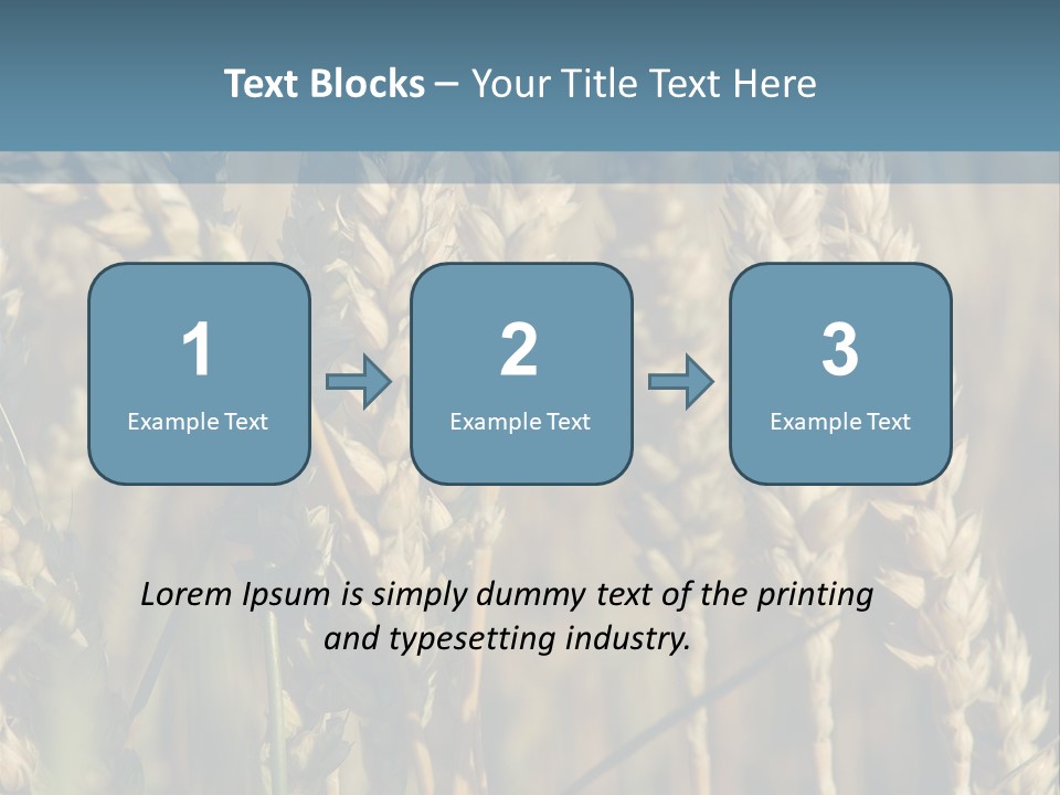 A Field Of Wheat Powerpoint Template PowerPoint Template