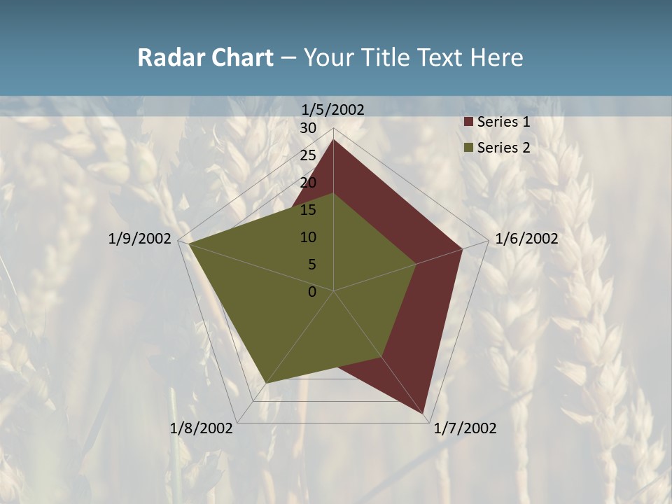 A Field Of Wheat Powerpoint Template PowerPoint Template