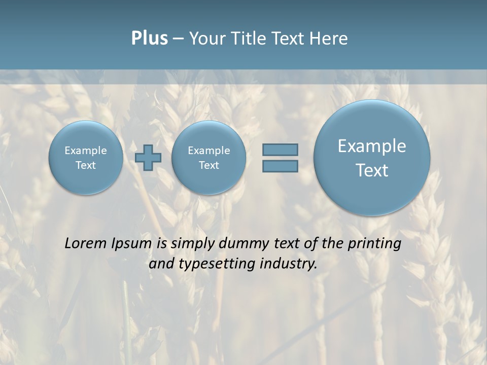 A Field Of Wheat Powerpoint Template PowerPoint Template