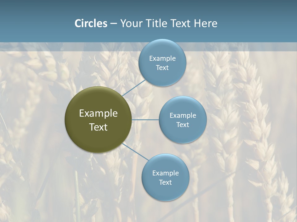 A Field Of Wheat Powerpoint Template PowerPoint Template