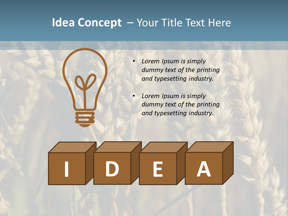 A Field Of Wheat Powerpoint Template PowerPoint Template